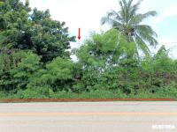ที่ดินว่างเปล่าหลุดจำนอง ธ.ธนาคารกสิกรไทย อุดรธานี ไชยวาน โพนสูง