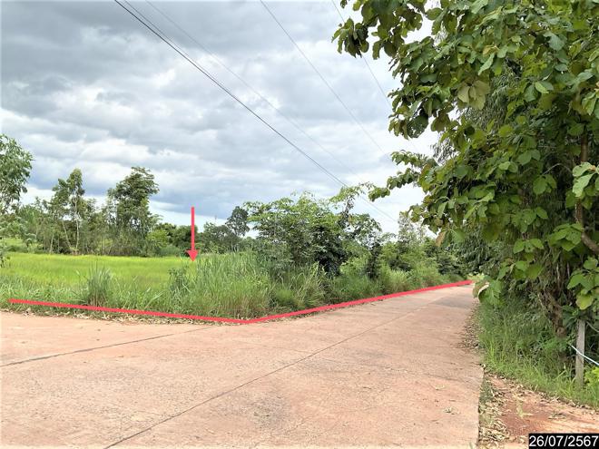 ที่ดินว่างเปล่าหลุดจำนอง ธ.ธนาคารกสิกรไทย อุดรธานี กุดจับ เมืองเพีย