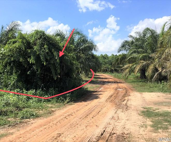 ที่ดินว่างเปล่าหลุดจำนอง ธ.ธนาคารกสิกรไทย อุดรธานี เมืองอุดรธานี เชียงยืน