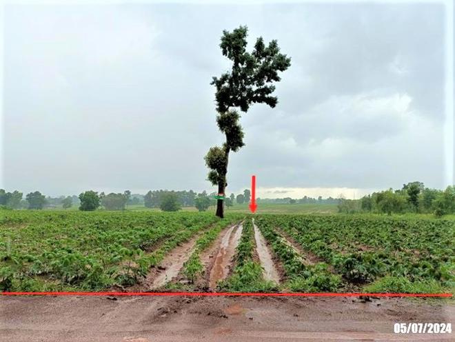 ที่ดินว่างเปล่าหลุดจำนอง ธ.ธนาคารกสิกรไทย อุดรธานี หนองหาน หนองไผ่