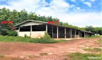 บ้านเดี่ยวหลุดจำนอง ธ.ธนาคารกสิกรไทย อุดรธานี หนองหาน หนองเม็ก