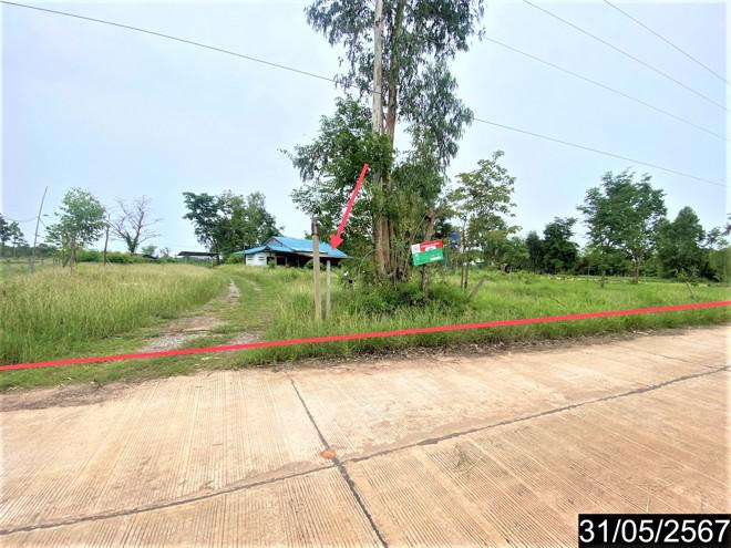 บ้านเดี่ยวหลุดจำนอง ธ.ธนาคารกสิกรไทย อุดรธานี บ้านผือ หายโศก