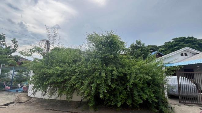บ้านเดี่ยวหลุดจำนอง ธ.ธนาคารกสิกรไทย อุดรธานี เมืองอุดรธานี หมากแข้ง